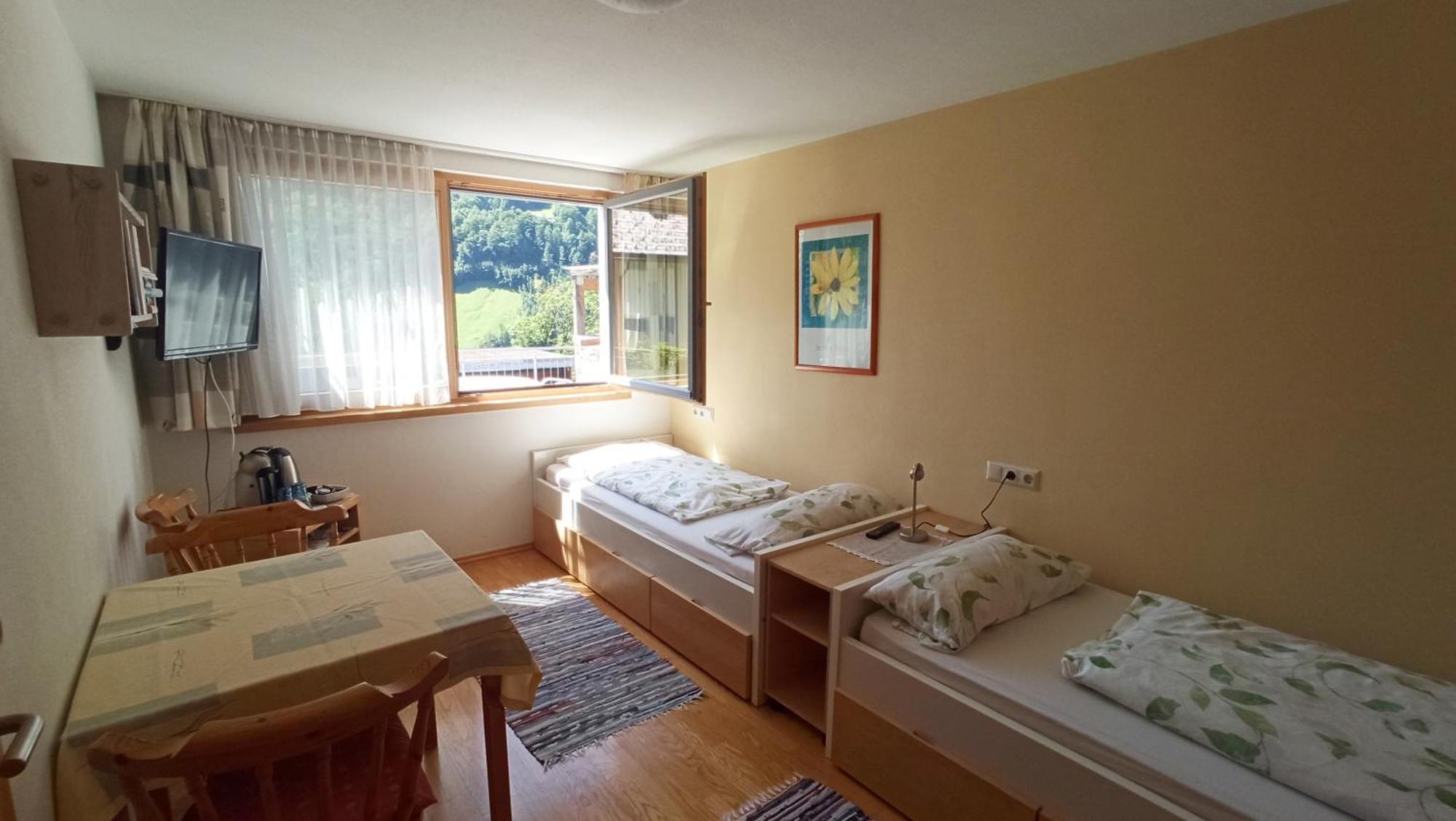 Gaestehaus Lutz Mellau Kültér fotó