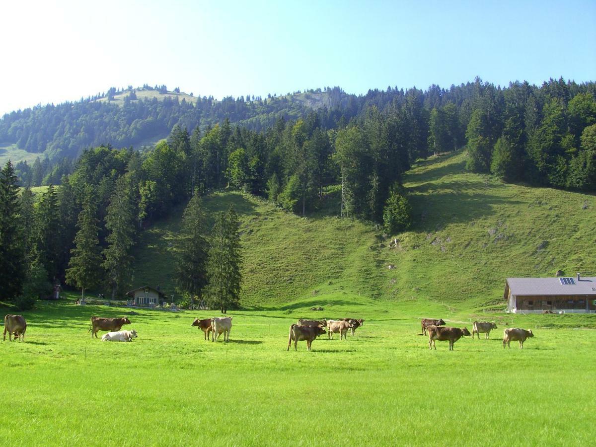 Gaestehaus Lutz Mellau Kültér fotó